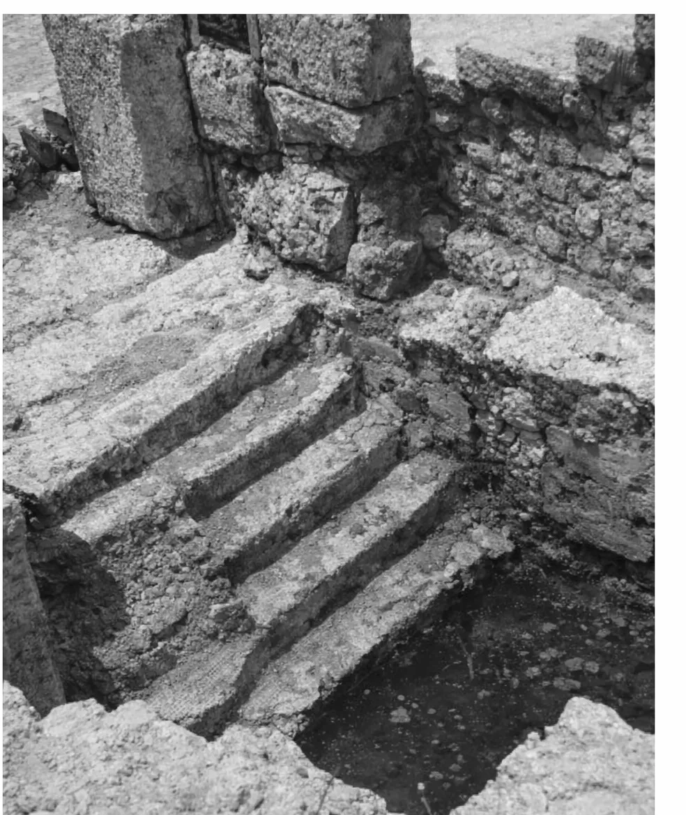 The Mikveh